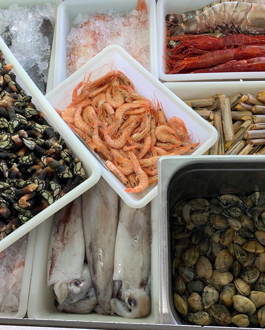 Variedade de peixes frescos